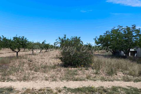 Landejendom i Yecla, Murcia, Yecla - € 219.000 | Ref: SF0531 - foto 31